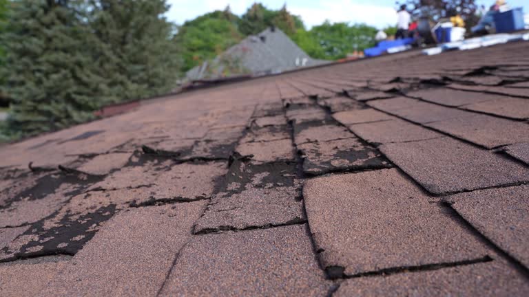 Emergency Roof Repair in Sherwood, OH