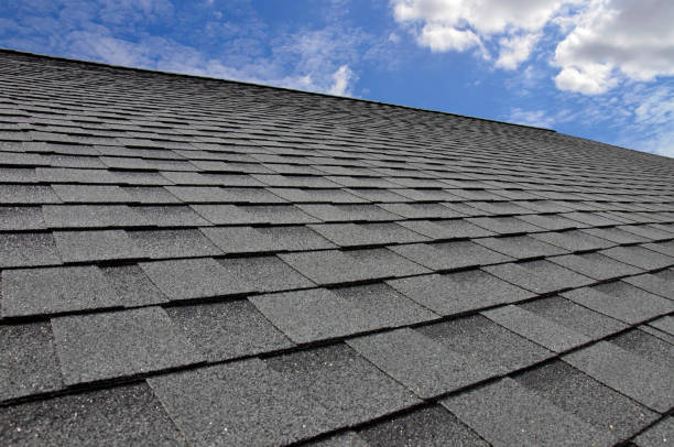 Best Sheet Metal Roofing  in Sherwood, OH